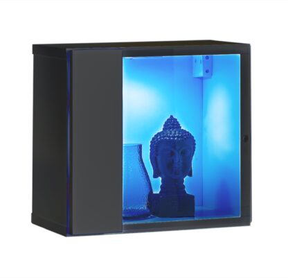 ASM Möbel Wandschrank Switch WW 5