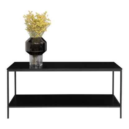 Vita TV-Ständer – TV-Ständer, 2 Regale, schwarz, schwarzer Rahmen 100 x 36 x 45 cm – Bild 3