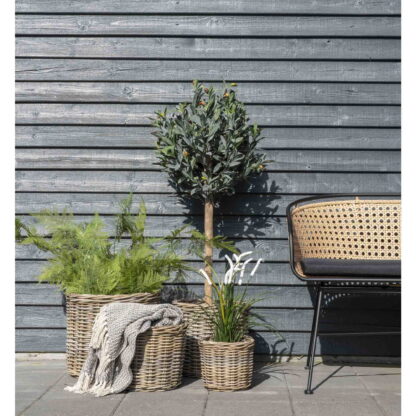 Bogor Baskets – Körbe, Kubu-Rattan, Natur, 4er-Set – Bild 2