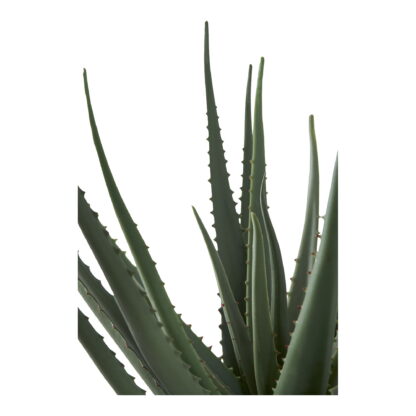 Aloe Vera - Kunstpflanze, grün H:51 cm – Bild 3