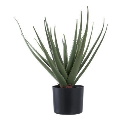 Aloe Vera - Kunstpflanze, grün H:51 cm