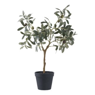 Olivenbaum - Kunstpflanze, grün H:61 cm