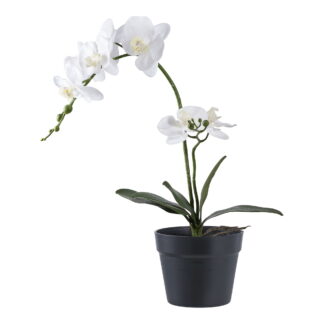 Orchidee - Kunstpflanze, grün/weiß H:49 cm