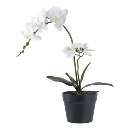 Orchidee - Kunstpflanze, grün/weiß H:49 cm