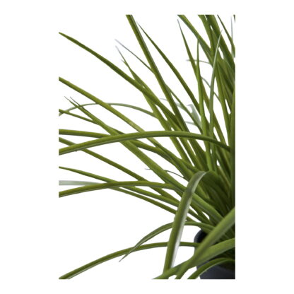 Gras - Kunstpflanze, grün H:45 cm – Bild 2