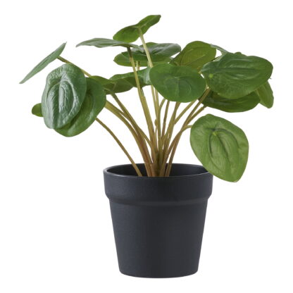 Pelia - Kunstpflanze, grün H:28 cm
