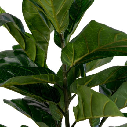 Fiddle Leaf Tree - Kunstpflanze, grün H:100 cm – Bild 2