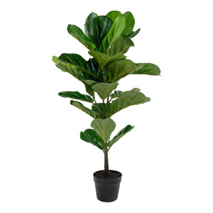 Fiddle Leaf Tree - Kunstpflanze, grün H:100 cm