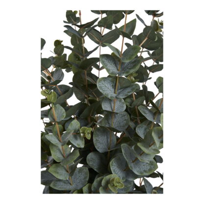 Eukalyptusbaum - Kunstpflanze, grün H:120 cm – Bild 2