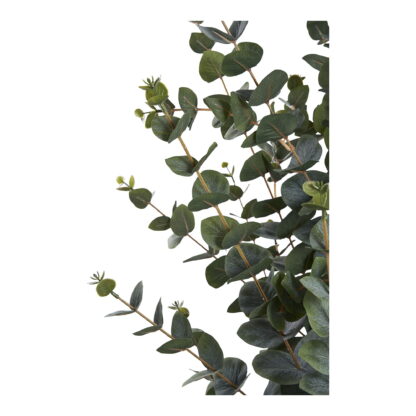 Eukalyptusbaum - Kunstpflanze, grün H:120 cm – Bild 3
