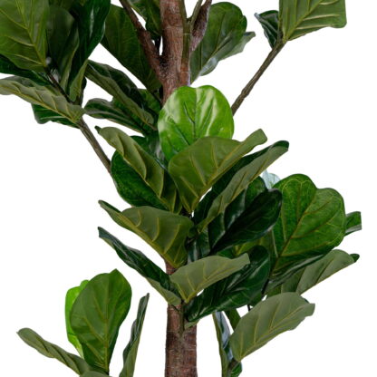 Fiddle Leaf Tree - Kunstpflanze, grün H:190 cm – Bild 2