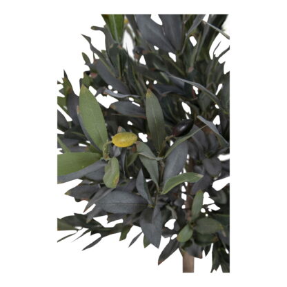 Olivenbaum - Künstlicher Baum, grün H:120 cm – Bild 3
