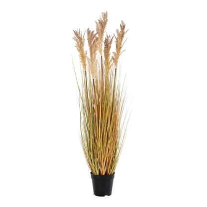 Sorghumgras - Kunstpflanze, natur H:110 cm