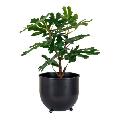 Feigenbaum - Kunstpflanze, grün H:60 cm – Bild 2