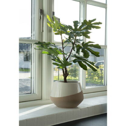 Feigenbaum - Kunstpflanze, grün H:60 cm – Bild 3