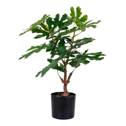 Feigenbaum - Kunstpflanze, grün H:60 cm