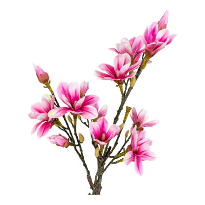 Magnolienbaum - Kunstpflanze, rosa H:74 cm – Bild 2