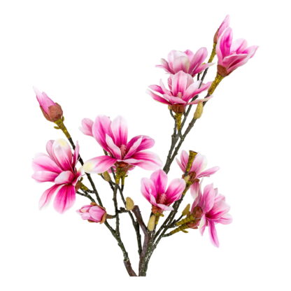 Magnolienbaum - Kunstpflanze, rosa H:74 cm – Bild 3