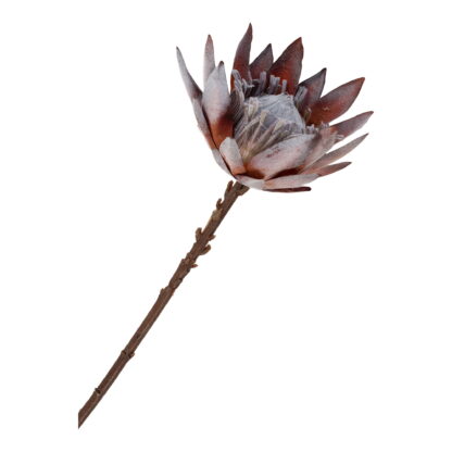 King Protea Bouquet - Künstliche Blumen, Rosenmischung H:74 cm – Bild 4